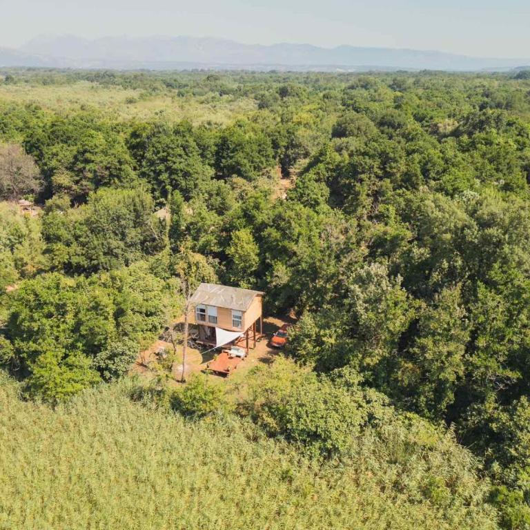 Birmingham House - Kuća sa 1 Spavaćom Sobom - 1