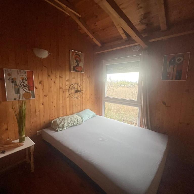 Birmingham House - Kuća sa 1 Spavaćom Sobom - 11