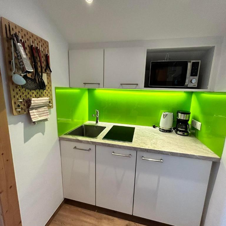 Appartement Vogelnest mit Dachsteinblick & Pool - Apartment mit 1 Schlafzimmer - 2