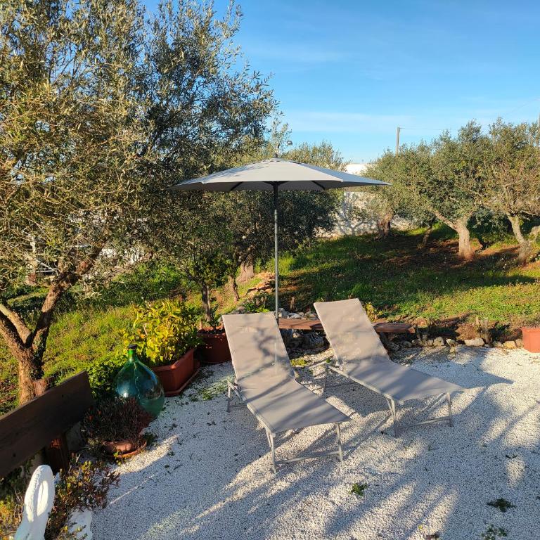 Antico Trullo Relax nella campagna di Alberobello - Casa con 1 Camera da Letto - 3