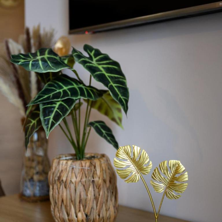 Apartman Zorija - Apartman sa 1 Spavaćom Sobom - 6