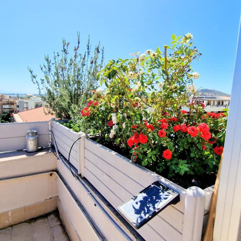 Sunshine Terrace - Appartamento con 1 Camera da Letto - 51