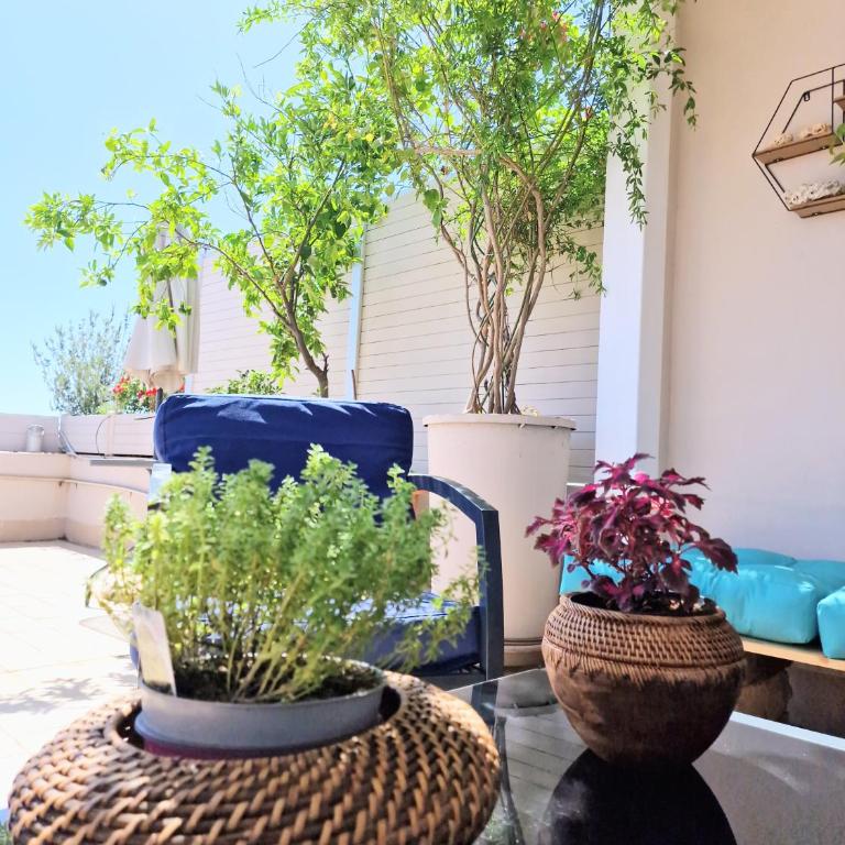 Sunshine Terrace - Appartamento con 1 Camera da Letto - 75