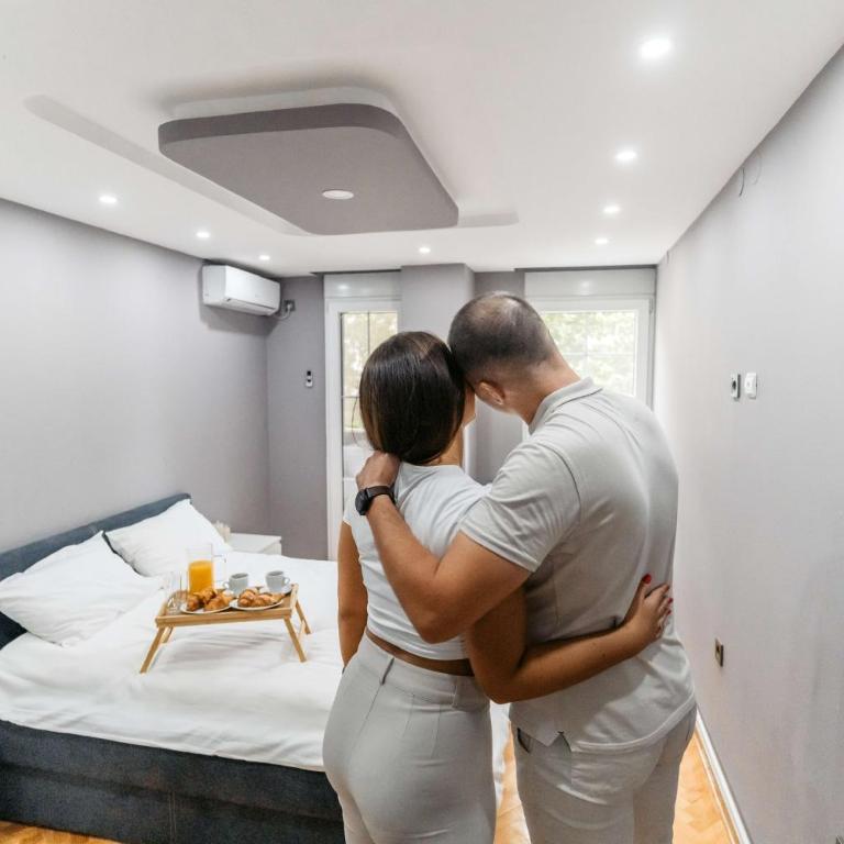 Luksar Apartment Niš - Apartman sa 1 Spavaćom Sobom - 23