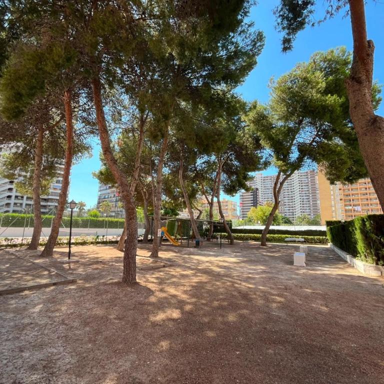 Las Palmeras Playa de San Juan Apto junto al mar - Apartamento de 3 dormitorios - 38