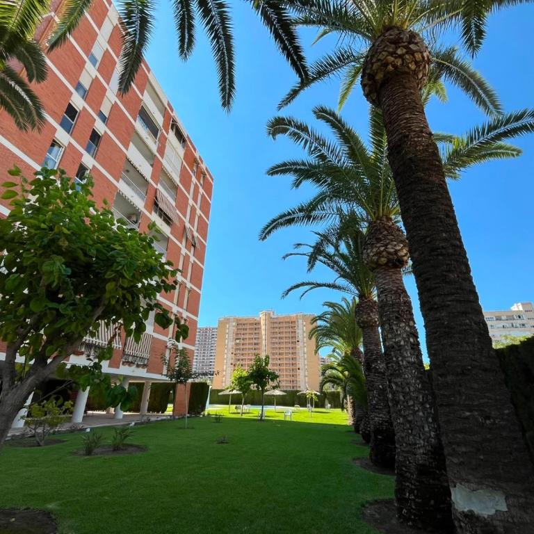 Las Palmeras Playa de San Juan Apto junto al mar - Apartamento de 3 dormitorios - 40