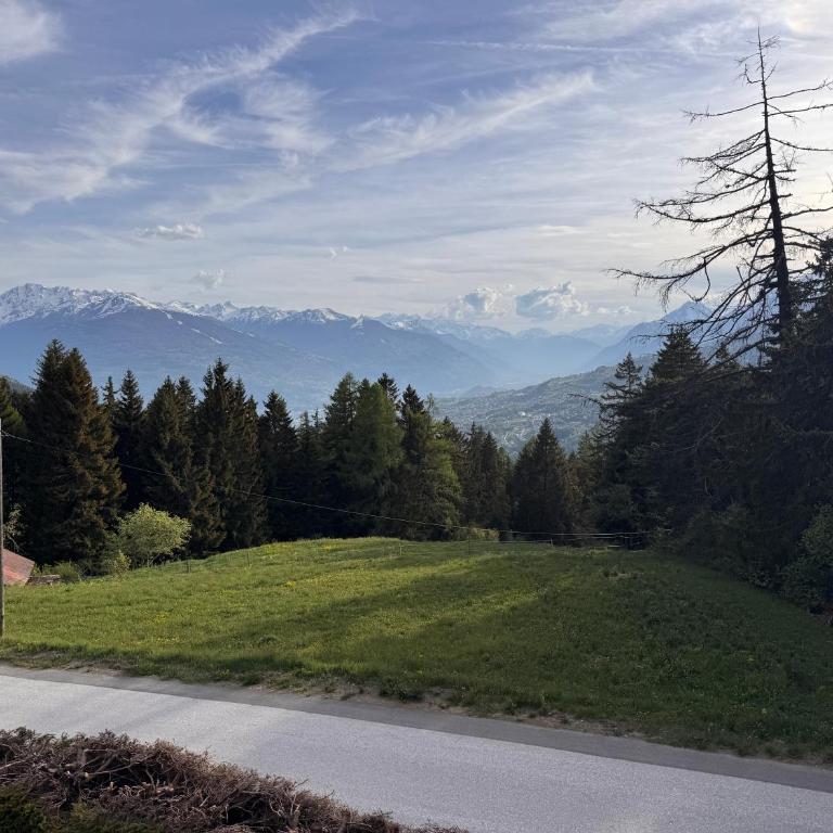 Chalet Ruisseaux - Havre de paix à Crans-Montana - Chalet - 2