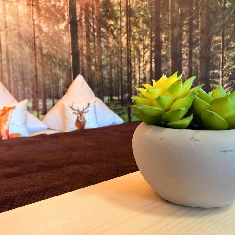 FeWo Falkenloft im Allgäu - Sonnenterrasse mit Markise, WLAN, Self Check-in, gratis Parken, tolle Lage, Königscard - Apartment mit 1 Schlafzimmer - 2