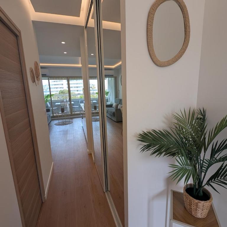 Magnifique appartement 2 pièces avec vue mer, plage à pied et parking - Appartement 1 Chambre - 11