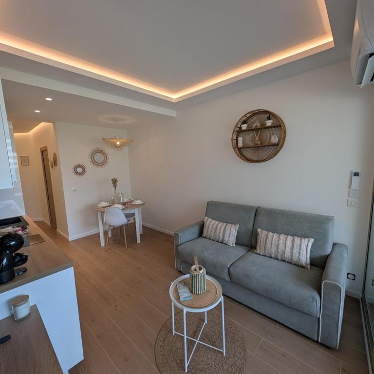 Magnifique appartement 2 pièces avec vue mer, plage à pied et parking - Appartement 1 Chambre - 19