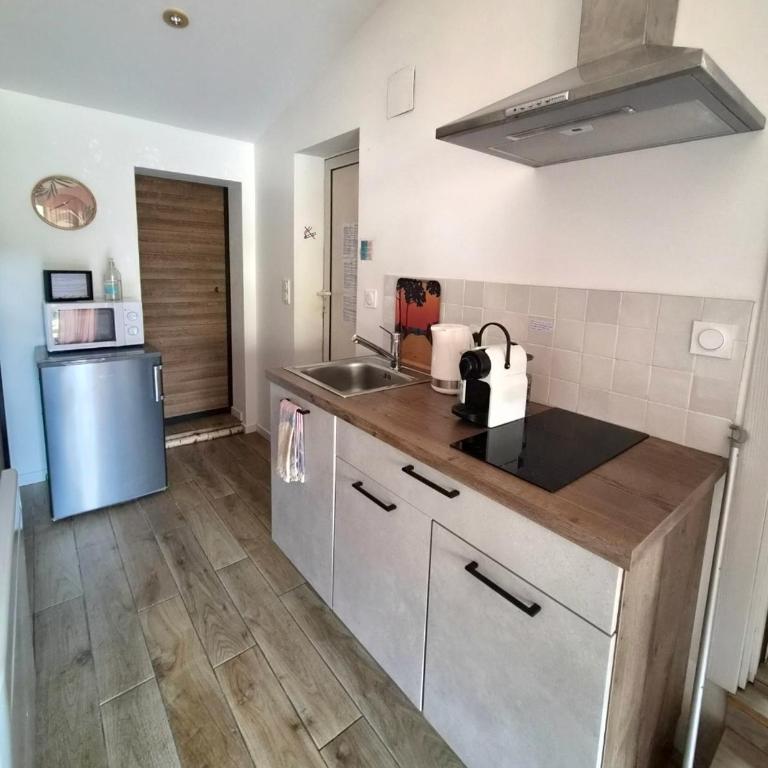 logement avec cuisine et jardinet proche lac - Appartement 1 Chambre - 3