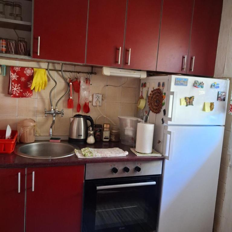 Apartman Štern - Appartement 1 Chambre - 19