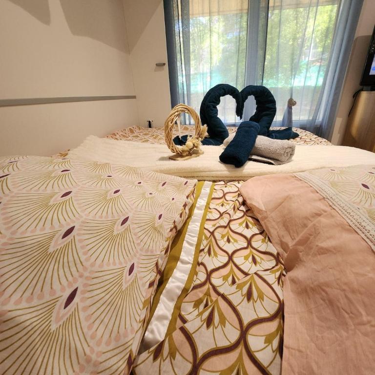 Cocon coeur de Pra Loup - grand box - Appartement 1 Chambre - 20