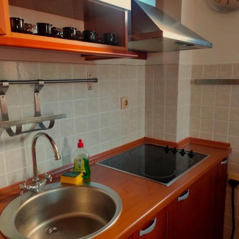 MiNa Apartments - Apartman sa 1 Spavaćom Sobom - 10