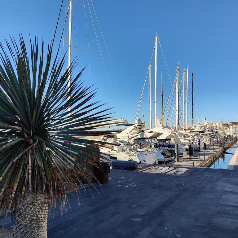 Cap d Agde 4pers 1BB RDC Calme Clim Terrasse BBQ - Appartement - Rez-de-Chaussée - 27