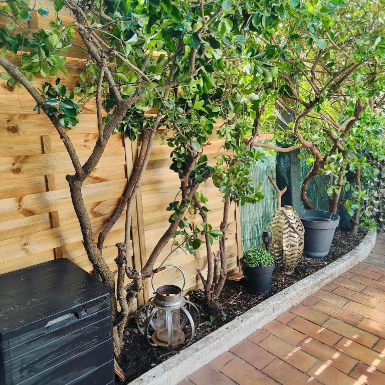 Cap d Agde 4pers 1BB RDC Calme Clim Terrasse BBQ - Appartement - Rez-de-Chaussée - 39