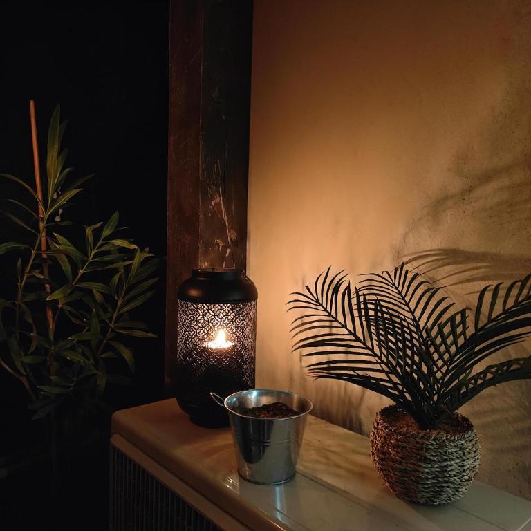 Cap d Agde 4pers 1BB RDC Calme Clim Terrasse BBQ - Appartement - Rez-de-Chaussée - 45