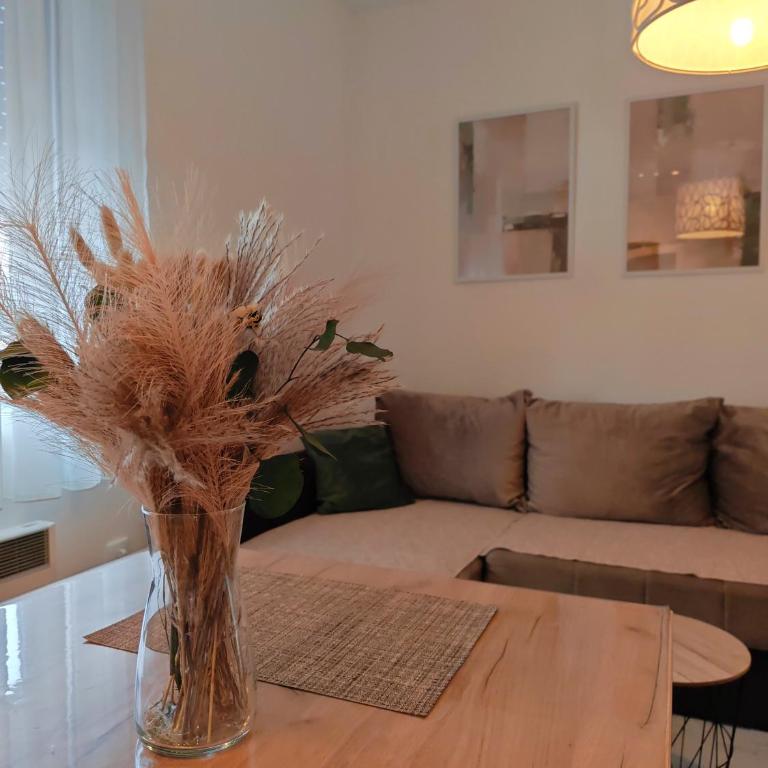 Apartman Stojanović Zlatibor - Apartment mit 1 Schlafzimmer - 9