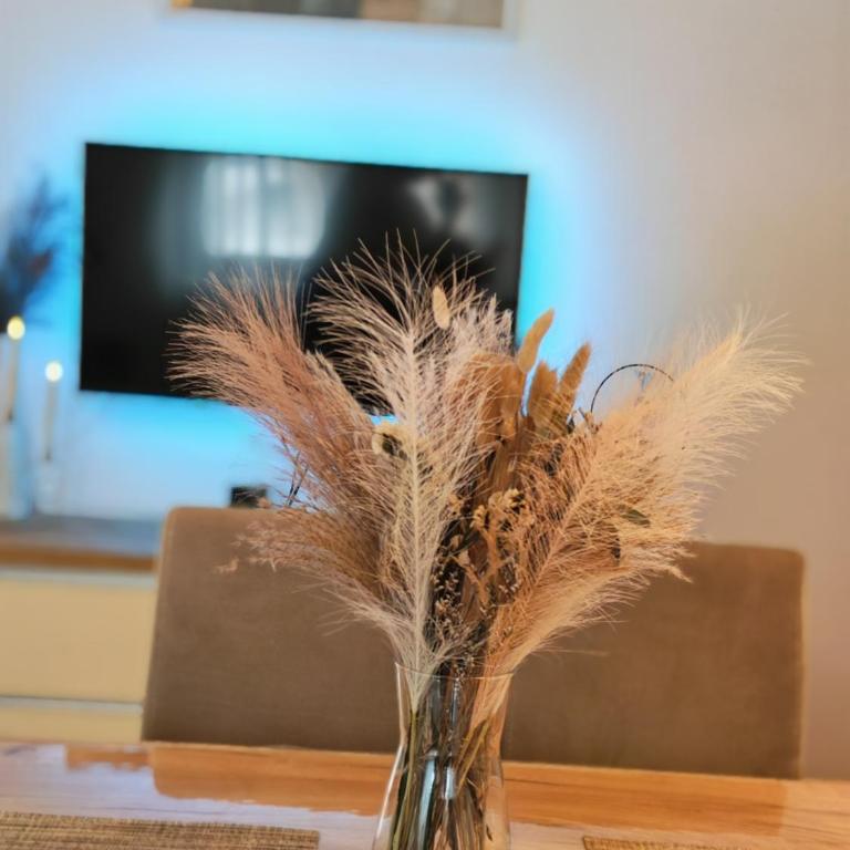 Apartman Stojanović Zlatibor - Apartment mit 1 Schlafzimmer - 13