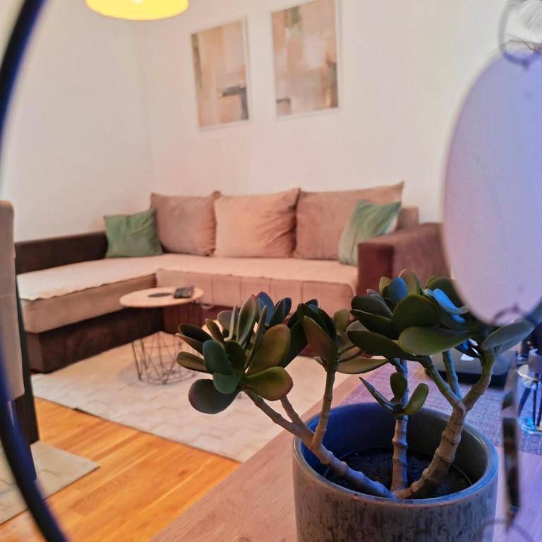 Apartman Stojanović Zlatibor - Apartment mit 1 Schlafzimmer - 1