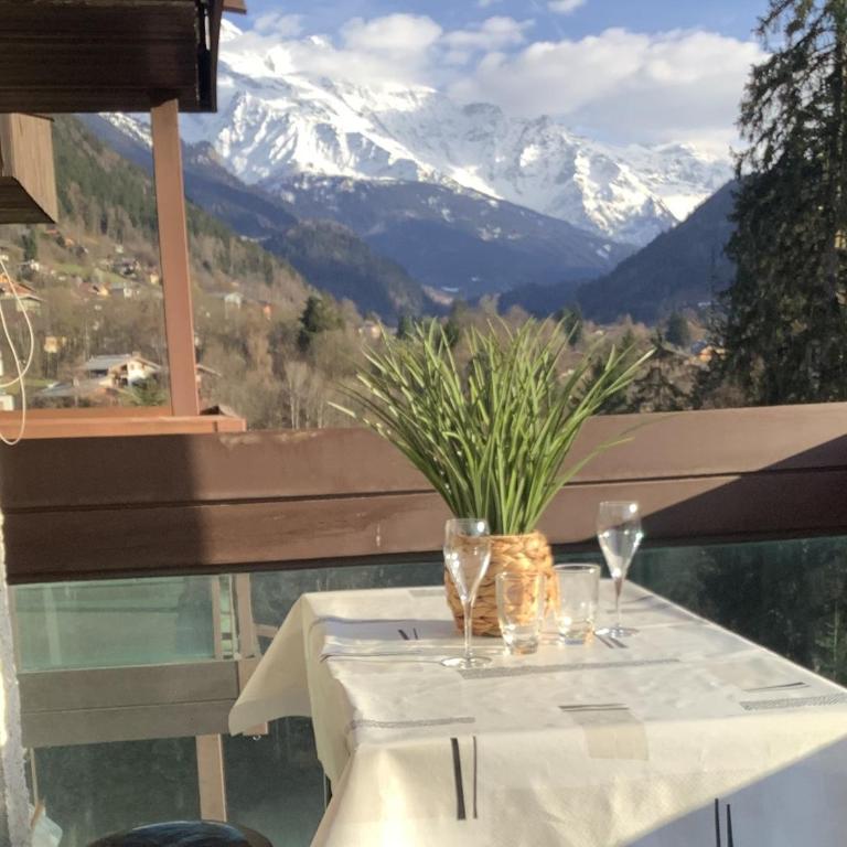 Le Perce-Neige - Appartement 1 Chambre - 1
