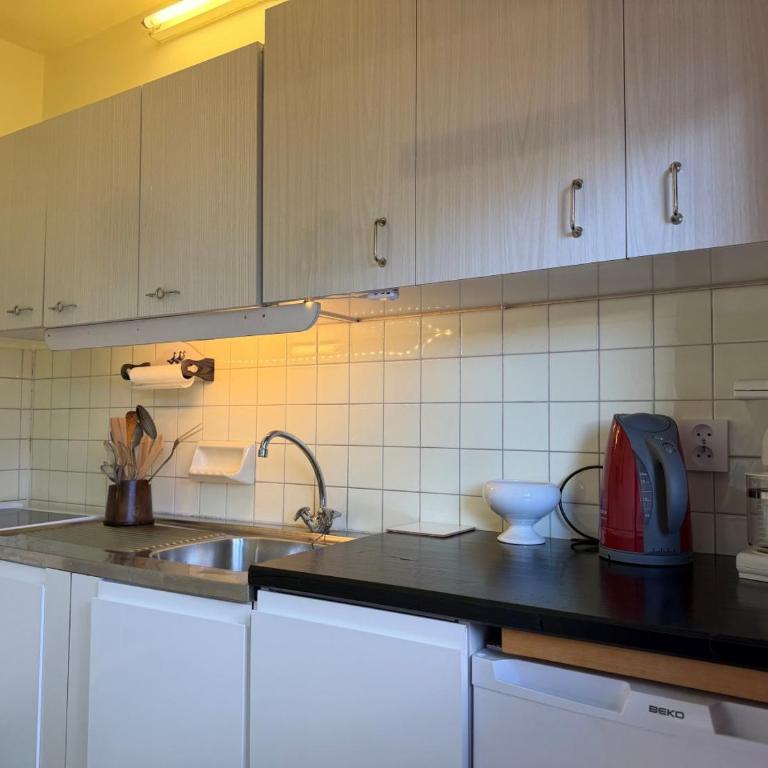 Le Perce-Neige - Appartement 1 Chambre - 5
