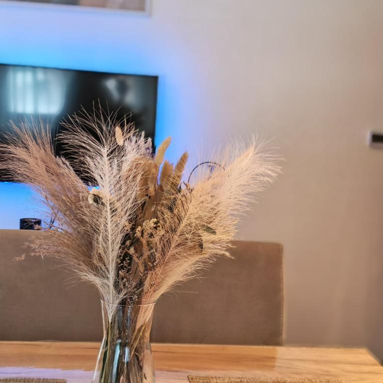 Apartman Stojanović Zlatibor - Apartment mit 1 Schlafzimmer - 19
