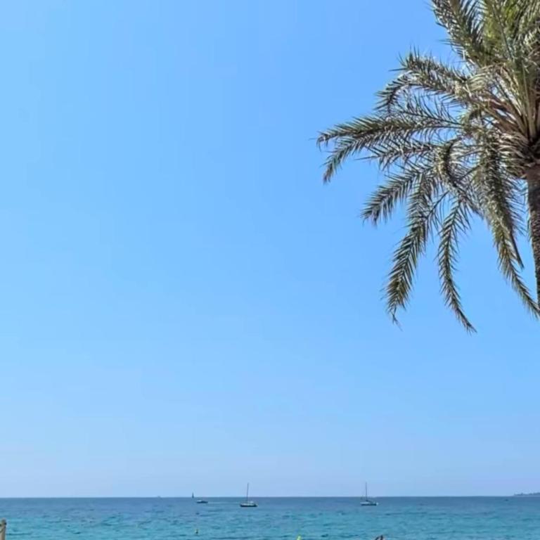 Cozy studio, close to Cannes, parking - Apartment mit 1 Schlafzimmer - 48