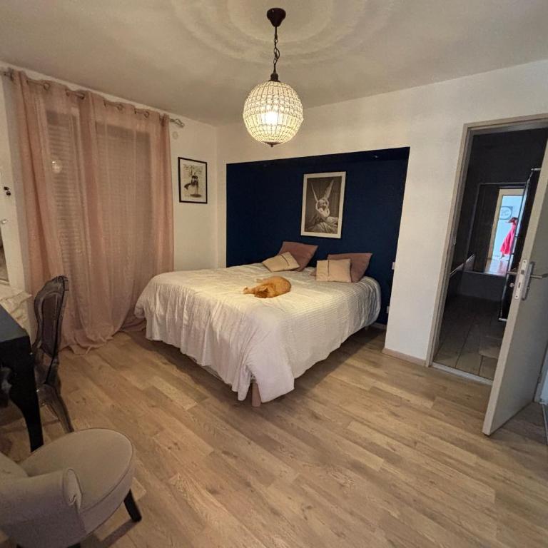 Belle maison lumineuse proche de la plage - Villa - 4