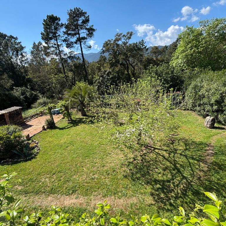 Villa Mare E Muntagna - Villa mit privatem Pool - 14