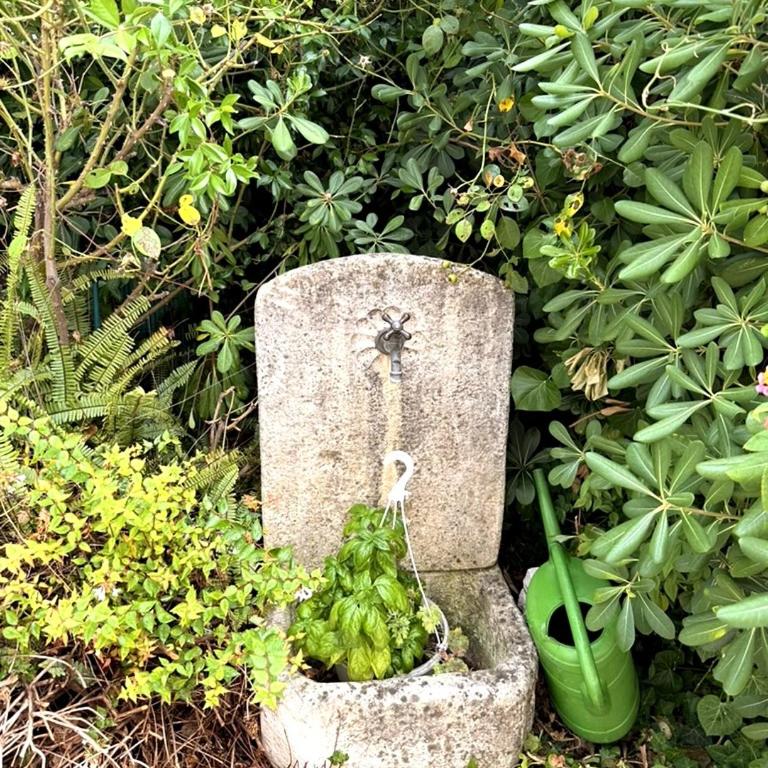 Villa Menton La Pomponette climatisée écrin de verdure a deux pas du centre - Maison 2 Chambres - 26