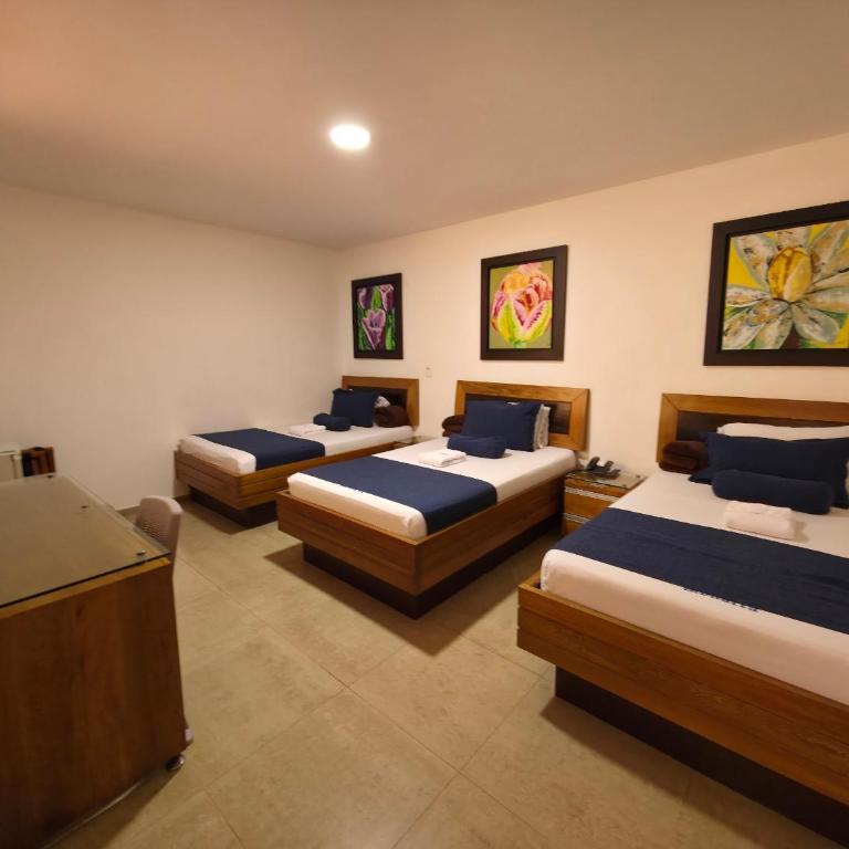 Hotel Monarca - Basic Triple Room - 1