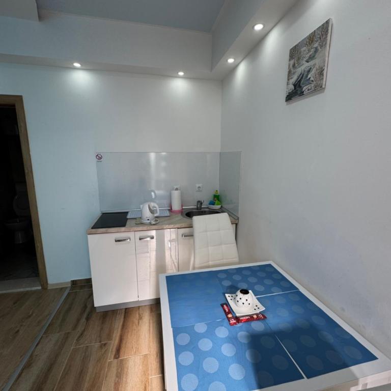 Apartmani Slađo - Apartman sa Terasom - 9