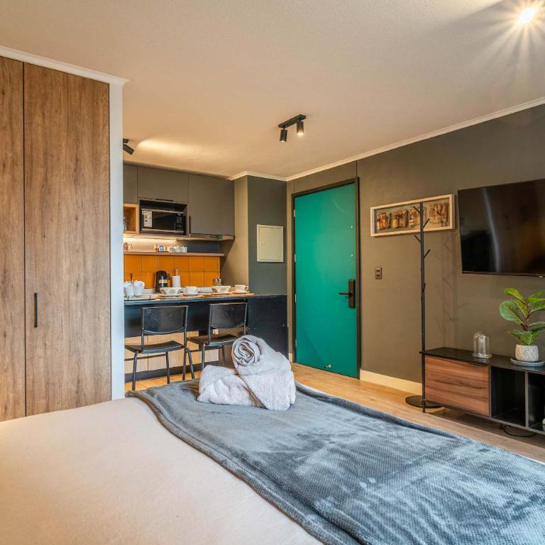 HOM I Depto Studio nuevo en MetroIrarrazabal Nunoa GB314 - Apartamento - 2