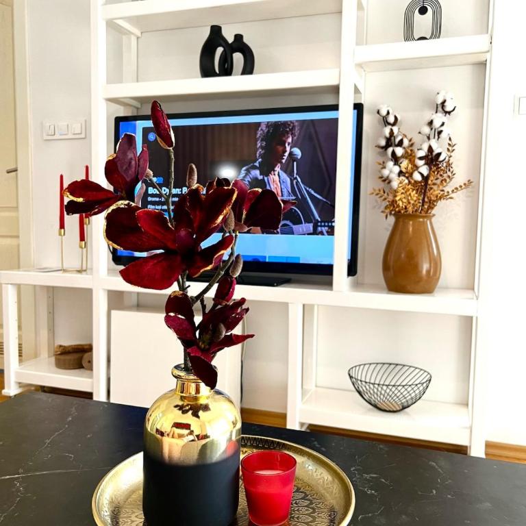 Poetry Pharmacy - Apartman sa 1 Spavaćom Sobom - 5