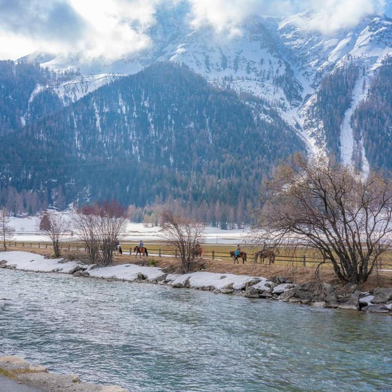 Cozy Retreat near St Moritz with Pool Sauna Fireplace - Apartment mit 1 Schlafzimmer - 48
