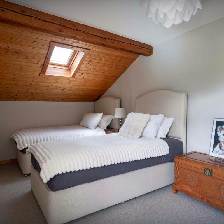 Chalet Nivicare - OVO Network - Maison de Vacances - 16