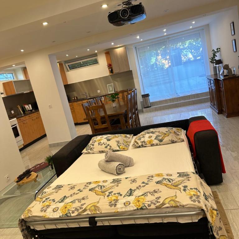 Studio terrasse et parking, Tram direct Genève - Appartement 1 Chambre - 12