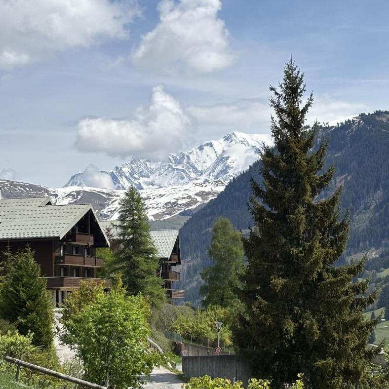Chalet du Rocher - Chalet - 3