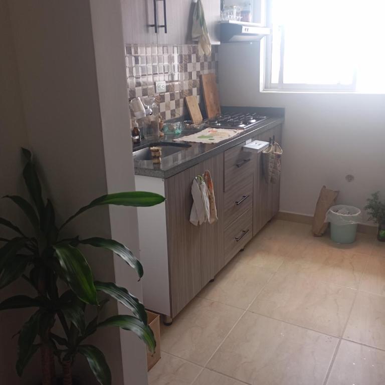 Apartamento Circasia - Apartamento de 1 dormitorio - 5