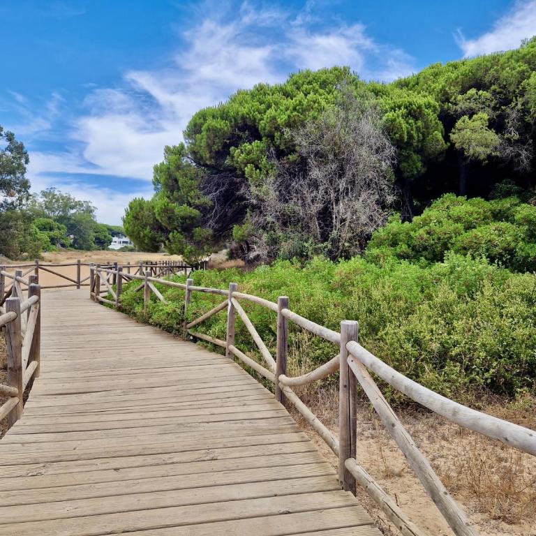 SR Dunas de Carib Playa Marbella - Apartamento de 1 dormitorio - 36