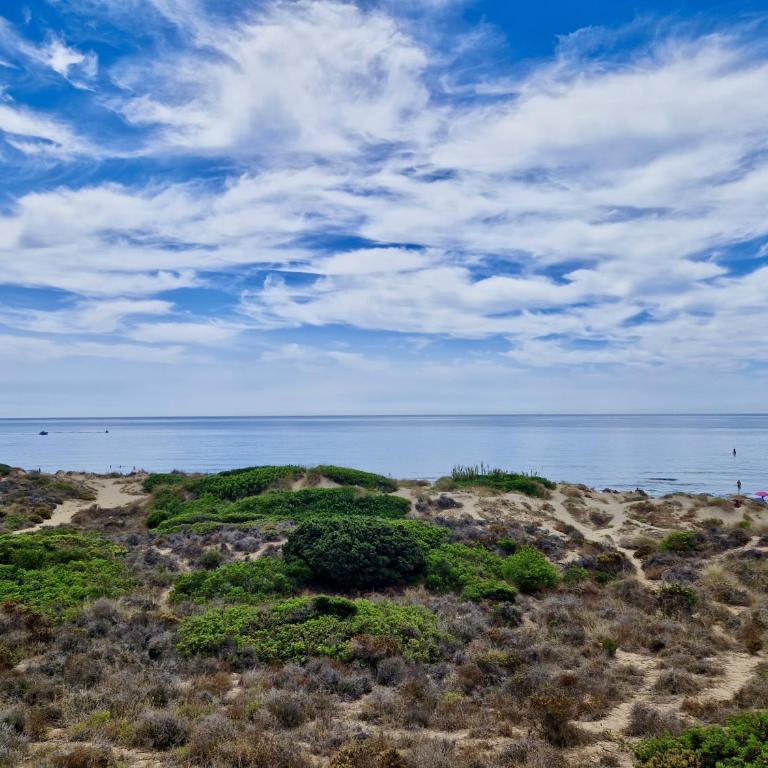 SR Dunas de Carib Playa Marbella - Apartamento de 1 dormitorio - 37