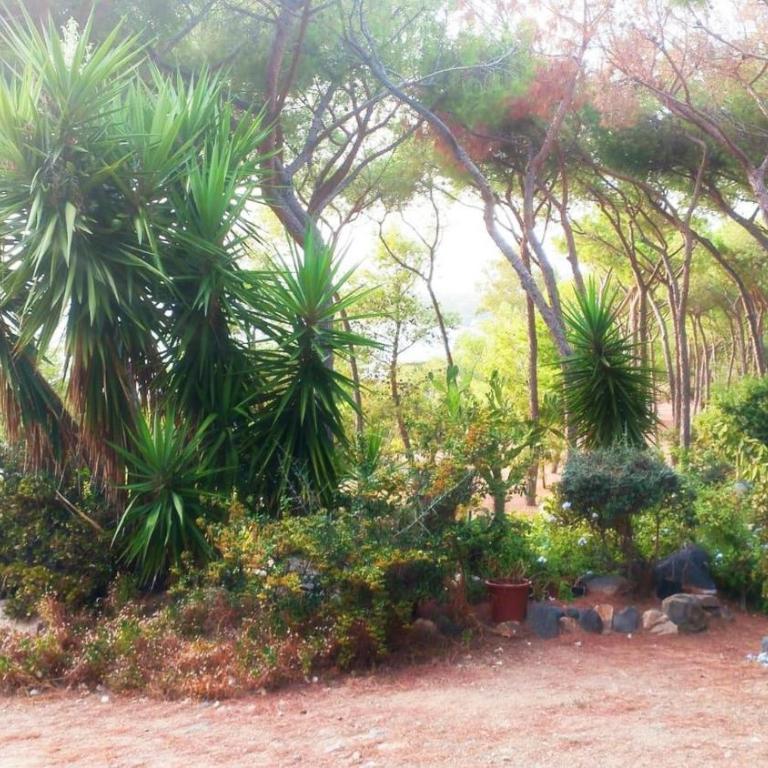 Sea view - 6 beds - sea 5 minutes away on foot - Casa con 3 Camere da Letto - 23