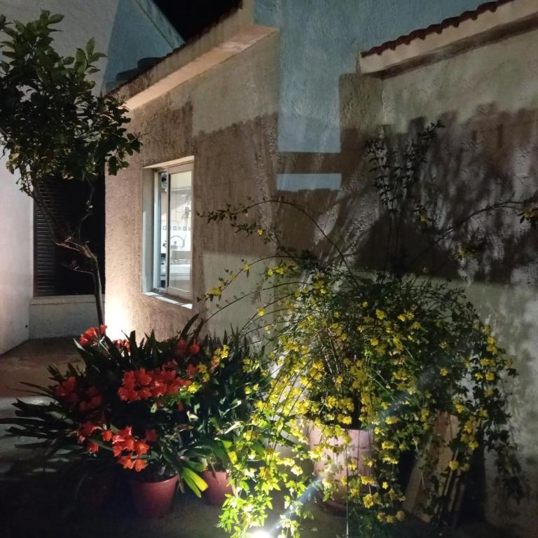 Apartamento en el centro de la ciudad - Apartamento de 1 dormitorio - 3