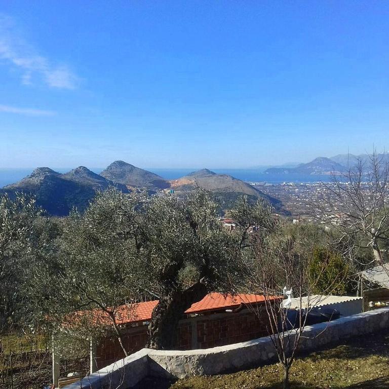 Apartman Nikocevic - Kuća sa 1 Spavaćom Sobom - 52