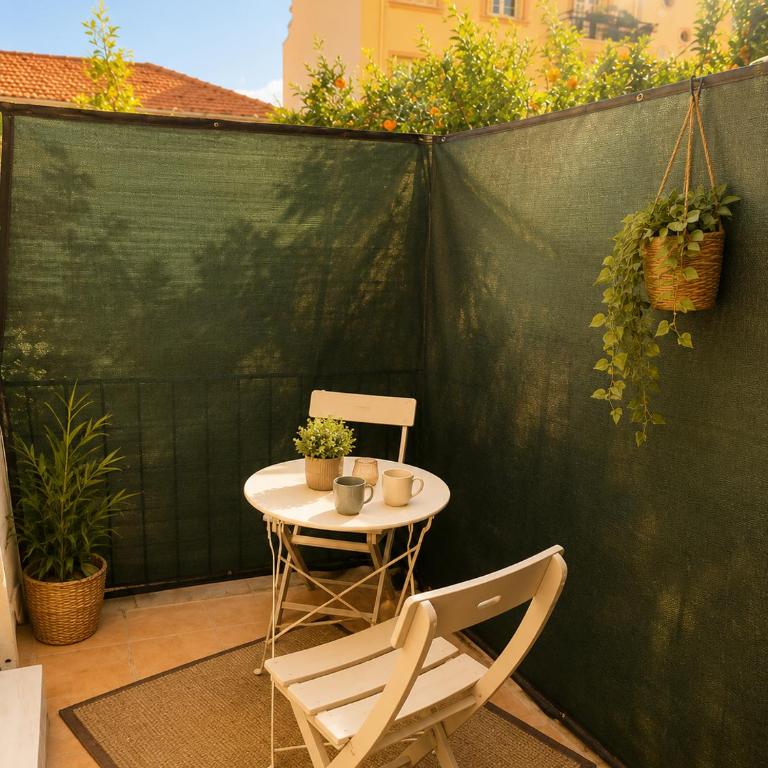 Chambres Luxes Monaco, 250m du casino - Appartement 1 Chambre - 8