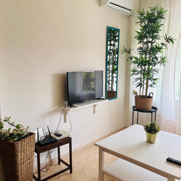 Céntrica y amplia vivienda, cerca calle Larios - Appartamento con 3 Camere da Letto - 19