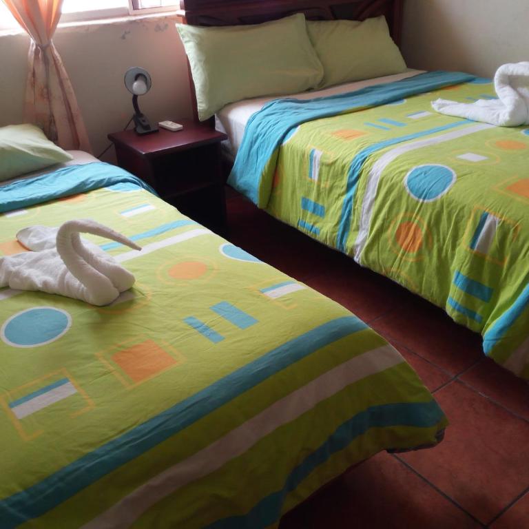 Hostal Miconia - Habitación Familiar con ducha - 8