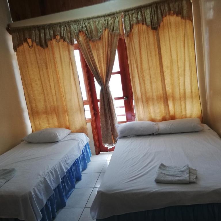 Hostal Miconia - Habitación Triple Clásica - 9