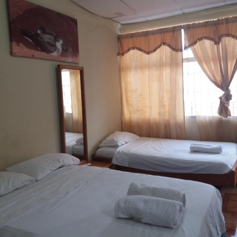 Hostal Miconia - Habitación Familiar con ducha - 2